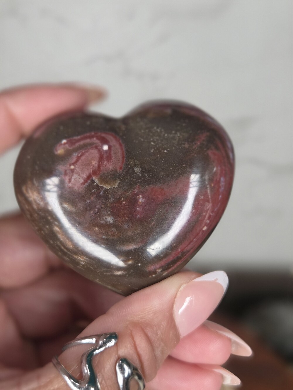 Petrified Wood Heart A